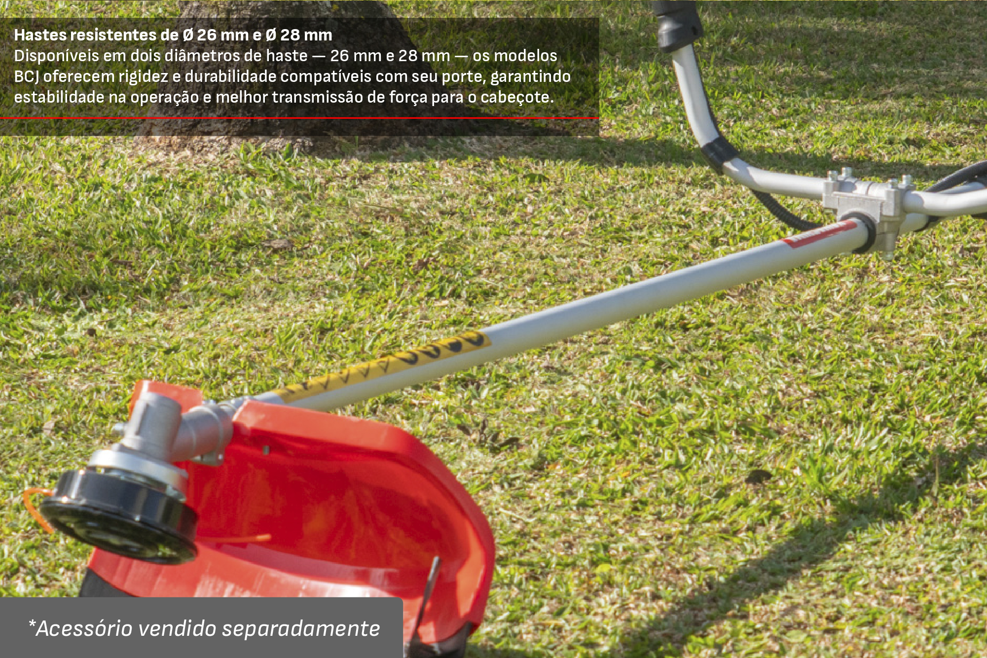 CCM do Brasil - Cód. 4301175